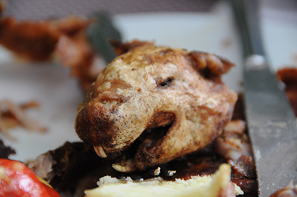 P0720.jpg (4288x2848) NIKON D300 - 18-200mm f/3.5-5.6 // F5,6 // 1/200 sec // ISO 1600 // 200,0 mm // no Flash // 2010:09:01 15:28:02 P0720.jpg (4288x2848) NIKON D300 - 18-200mm f/3.5-5.6 // F5,6 // 1/200 sec // ISO 1600 // 200,0 mm // no Flash // 2010:09:01 15:28:02